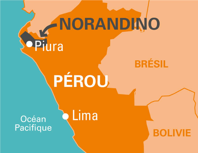 Carte coopÃ©rative Norandino au PÃ©rou chocolat noir orange